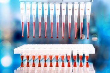 Row of Pipettes